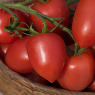 Tomato 'Nagina' 