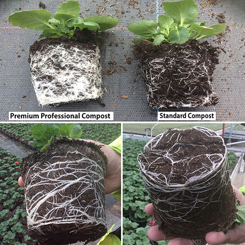 Premium Professional Compost 110 Litre Bundle
