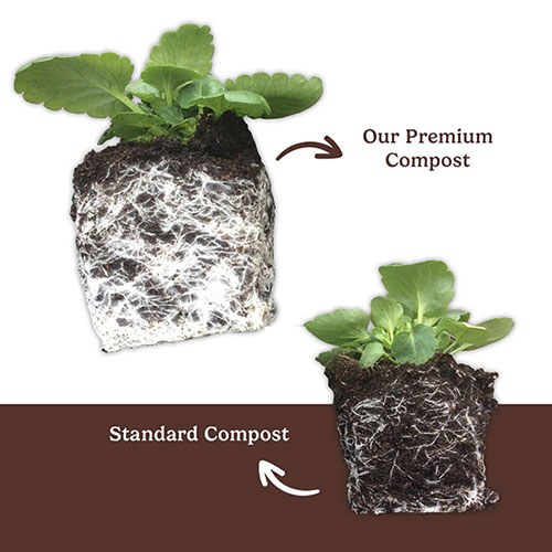 Premium Professional Compost 110 Litre Bundle + Multi-Purpose Trowel Premium Professional Compost 110 Litre Bundle + Multi-Purpose Trowel