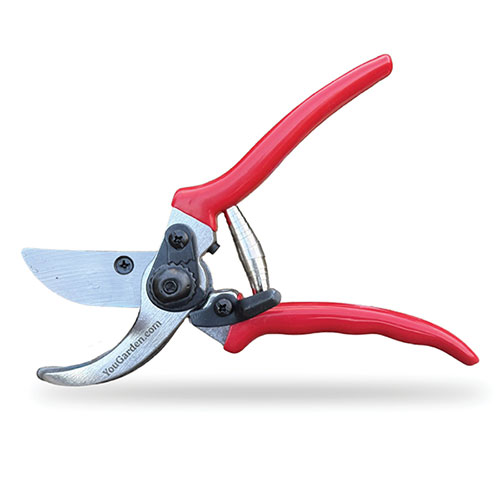 Red Handled Bypass Secateurs