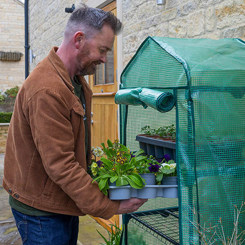 Four Tier Greenhouse Four Tier Greenhouse