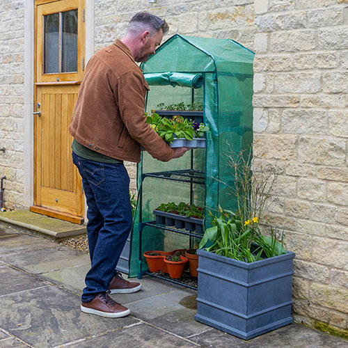 Four Tier Greenhouse Four Tier Greenhouse