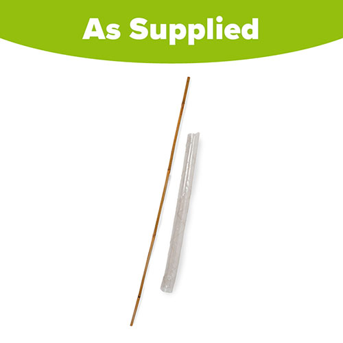 Bamboo Cane and Spiral Guard Set Bamboo Cane and Spiral Guard Set