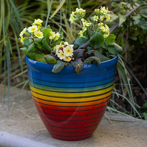 Rainbow Planter