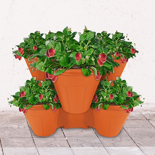 Set of 12 Stackable Planters Set of 12 Stackable Planters