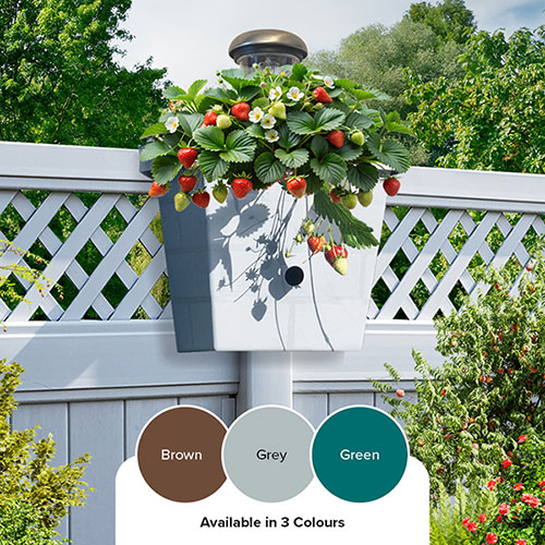 Revolutionary 4-in-1 Self-Watering Fence Planter and Solar Light - Light Grey Revolutionary 4-in-1 Self-Watering Fence Planter and Solar Light - Light Grey
