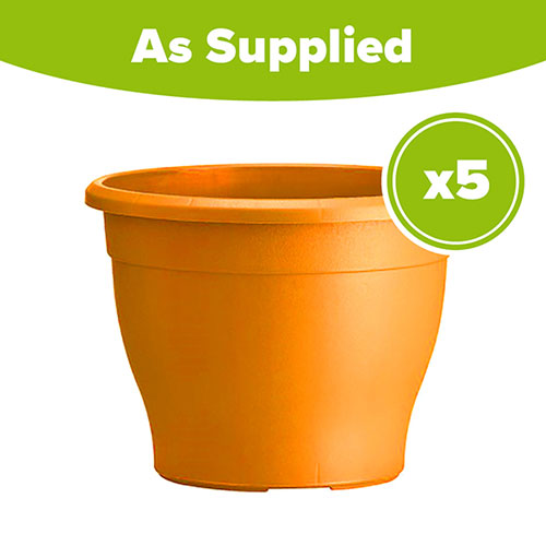 Sabina Orange Planters - 5 x 26cm Pots Sabina Orange Planters - 5 x 26cm Pots