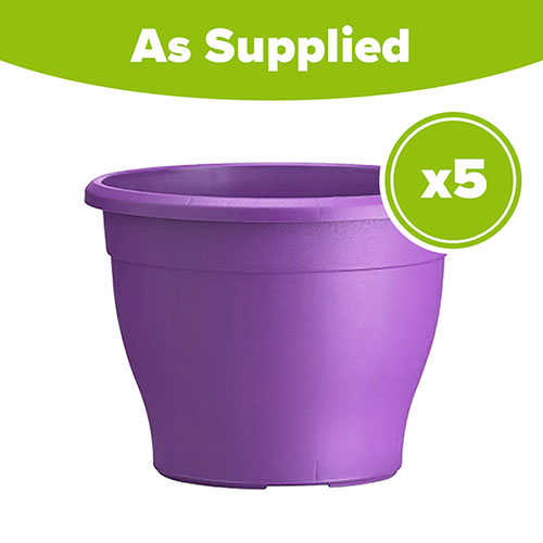Sabina Purple Planters - 5 x 26cm Pots Sabina Purple Planters - 5 x 26cm Pots
