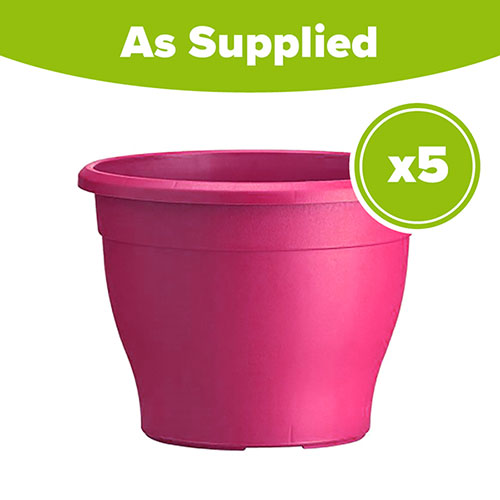 Sabina Pink Planters - 5 x 26cm Pots Sabina Pink Planters - 5 x 26cm Pots
