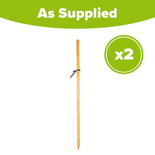 Tree Planting Kit - 2 Trees