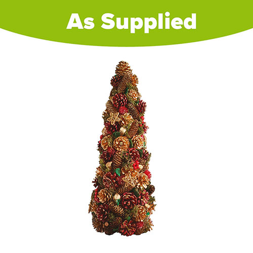 Three Kings Cone Three Kings Cone