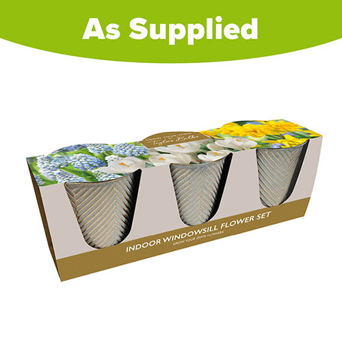 Indoor Windowsill Flower Set Indoor Windowsill Flower Set