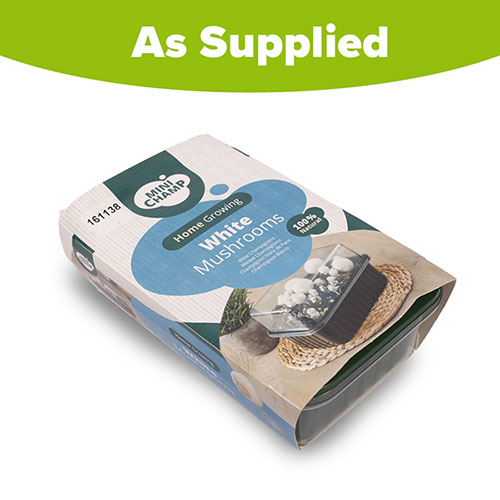 White Mushroom Grow Kit