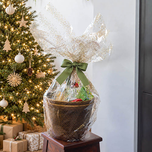 Deluxe Gardening Bundle Of Joy Gift Set