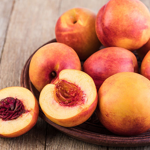 Nectarine Tree Prunus Flavourtop