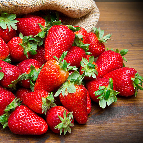 Everbearer Strawberry Sweet Summer Everbearer Strawberry Sweet Summer