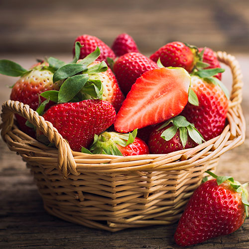 Everbearer Strawberry Sweet Summer Everbearer Strawberry Sweet Summer