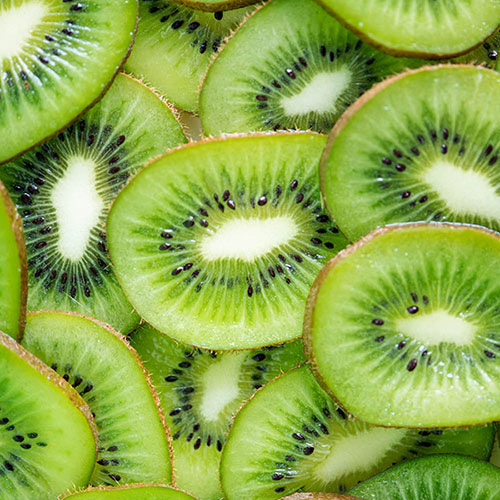 Self-fertile Kiwi Jenny Self-fertile Kiwi Jenny