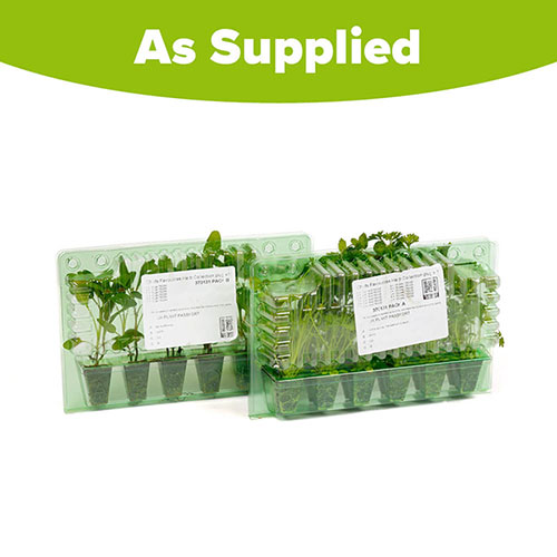 Chefs Favourites Herb Collection Chefs Favourites Herb Collection