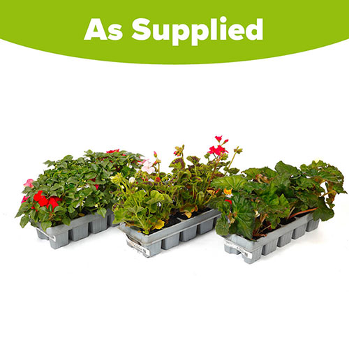 Nurserymans Garden Ready Collection Nurserymans Garden Ready Collection