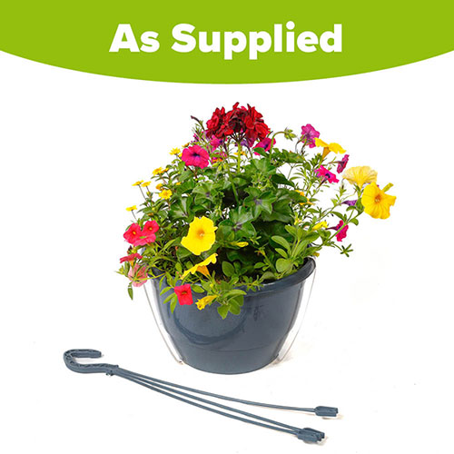 Pre-Planted Sunset Oasis Hanging Baskets Pre-Planted Sunset Oasis Hanging Baskets