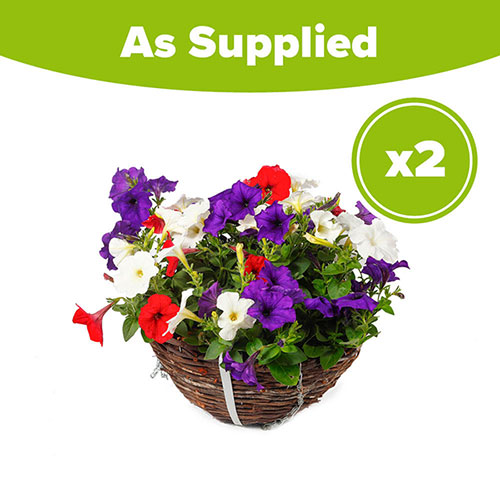 Pre-Planted Petunia Patriotic Mix Rattan Hanging Baskets Pre-Planted Petunia Patriotic Mix Rattan Hanging Baskets