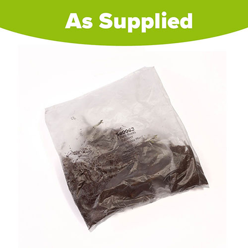 Premium Oriental Poppy Collection