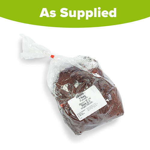 Peony Dinner Plate Peony Dinner Plate