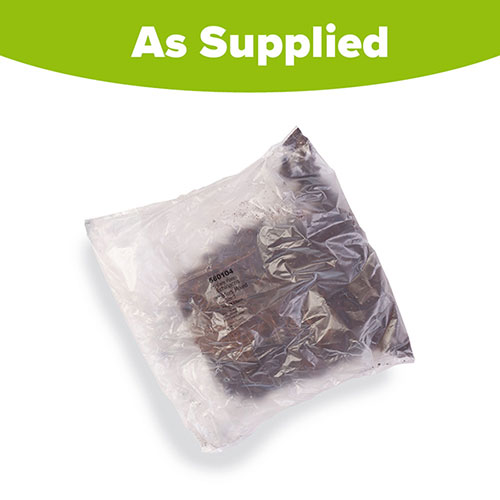 Echinacea Breeders Mix