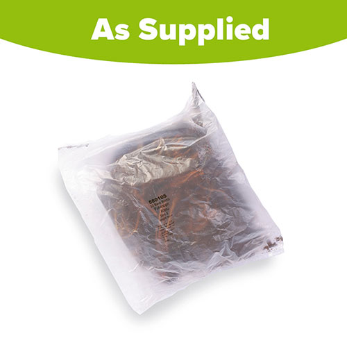 Echinops ritro Globe Thistle