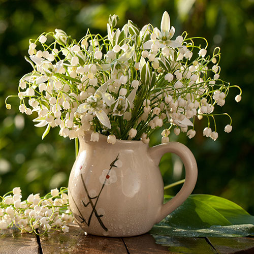 Pink And White Convallaria Pip Collection