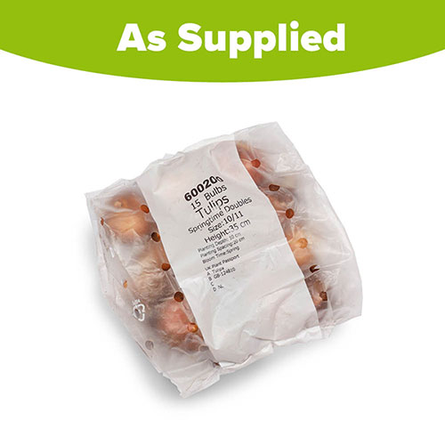 Tulip Springtime Doubles Mix