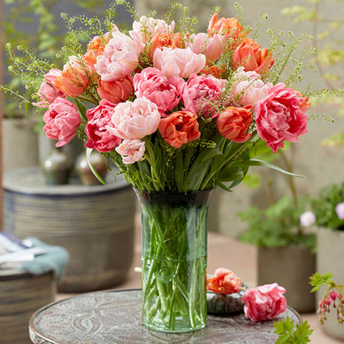 Tulip Double Flowering Mixed Bouquet Tulip Double Flowering Mixed Bouquet