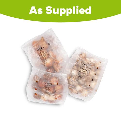 Sunset Glow Luxury Bulb Lasagne Kit Sunset Glow Luxury Bulb Lasagne Kit