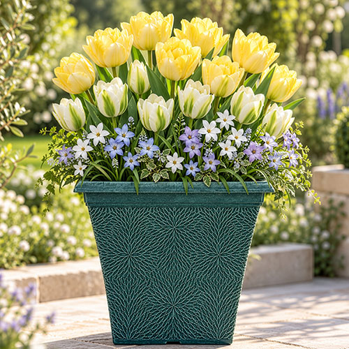 Lemon & Lime Luxury Bulb Lasagne Kit Lemon & Lime Luxury Bulb Lasagne Kit