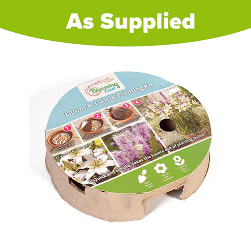 Plant-O-Mat Lilium and Liatris Kit Plant-O-Mat Lilium and Liatris Kit