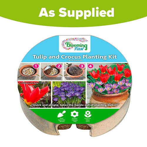Tulip & Crocus Drop In Bulb Kit Tulip & Crocus Drop In Bulb Kit