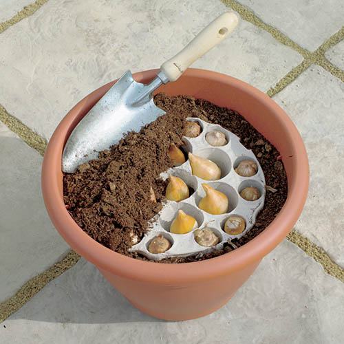 ebay bulb planter
