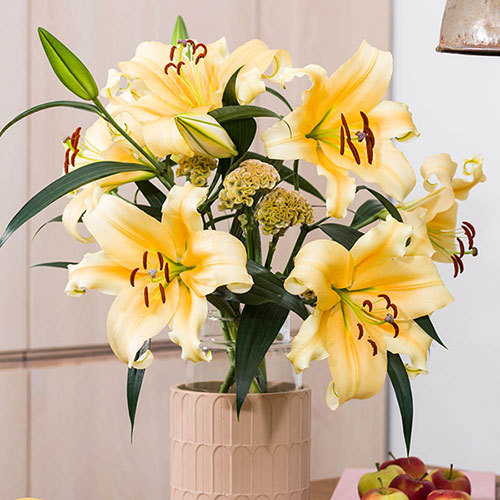 Skyscraper Lily Shine On