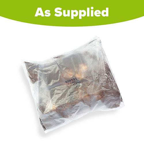 Lily Dinner Plate Binasco