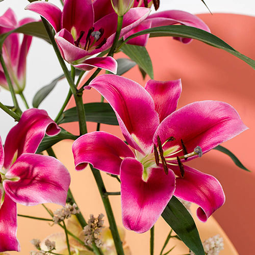 Lily Dinner Plate Red Desire