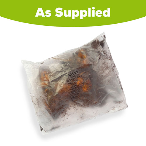 Lily Dinner Plate Red Desire