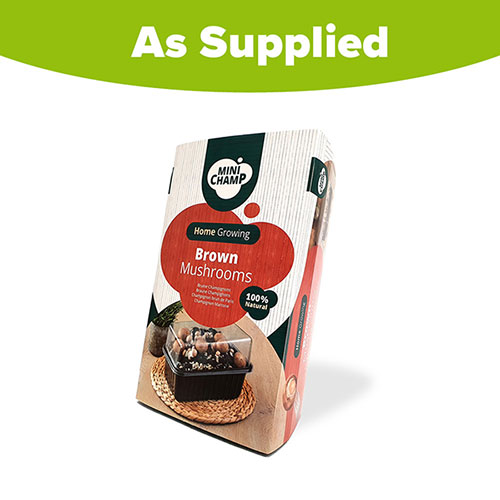 Brown Mushroom Grow Kit