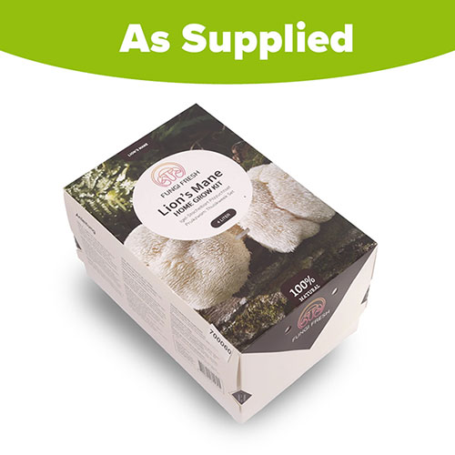 Lions Mane Mushroom Grow Kit
