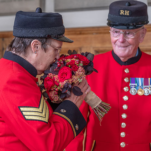 Harkness Rose Chelsea Pensioner �
