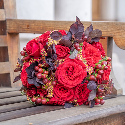 Gift Wrapped Harkness Rose Chelsea Pensioner �