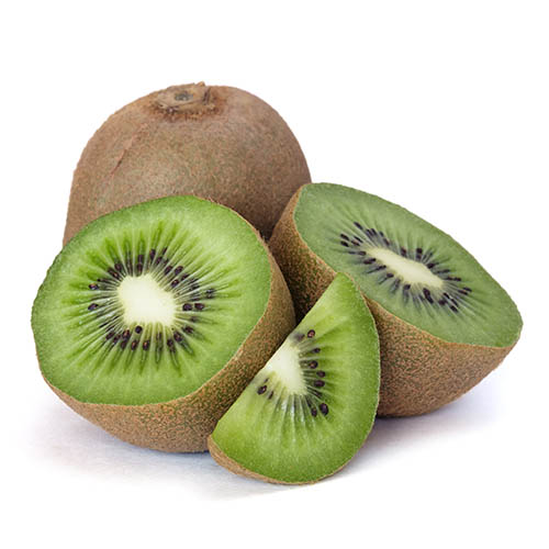 Actinidia deliciosa - Kiwi Fruit Jenny 