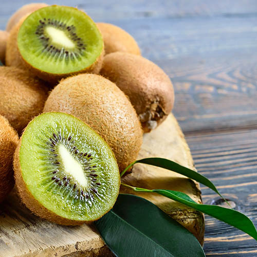 Actinidia deliciosa - Kiwi Fruit Jenny 