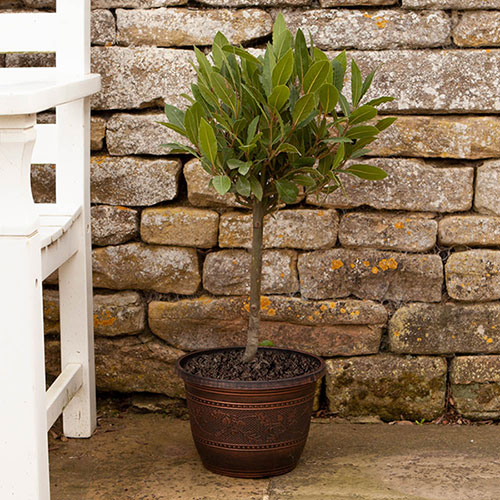 Acorn Round Planter Copper-Tone Acorn Round Planter Copper-Tone