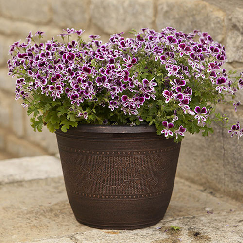 Acorn Round Planter Copper-Tone Acorn Round Planter Copper-Tone